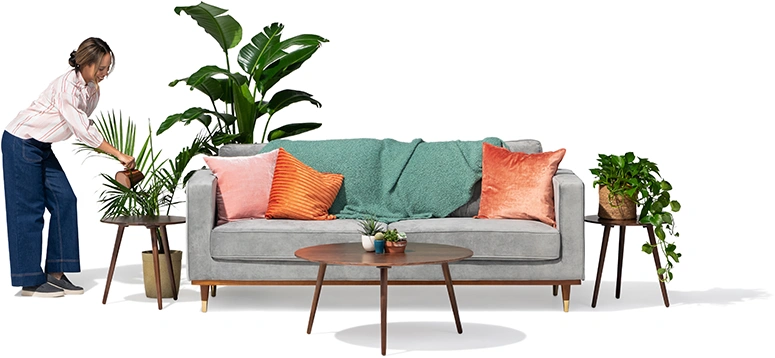 A woman waters her fern next to a grey sofa.