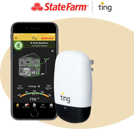 Sign Up for Ting Home Fire Prevention Assistance - State Farm®